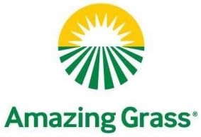 Amazing Grass | Protein & Kale 1 Cup 20g Protein 615g