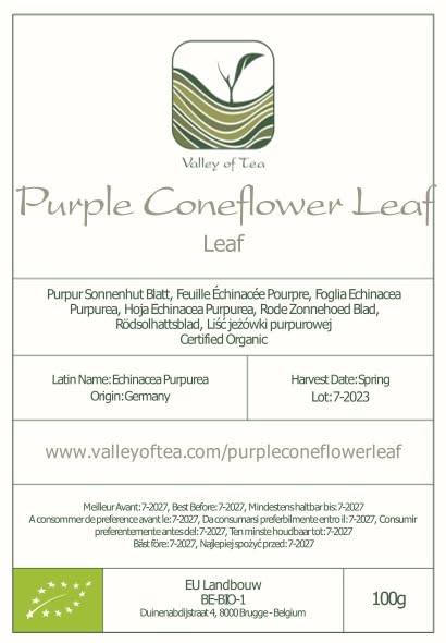 Purple Coneflower Herb Echenecia Tea