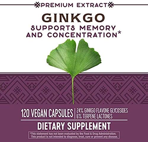 Nature's Way Premium Extract Ginkgo Memory 120 Capsules