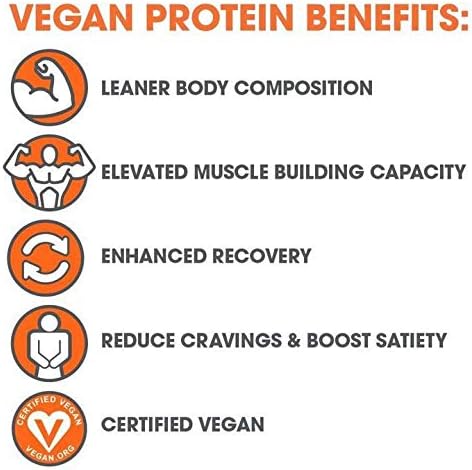 Genius Vegan Protein Powder, Chocolate