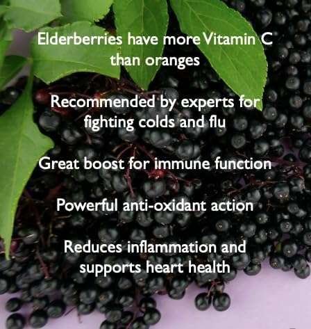 Immunity Vitamin C 1000mg with Elderberry, 4 Months 120 Tablets