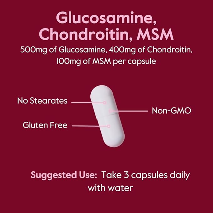 BESTVITE Glucosamine Chondroitin MSM 500/400/100 per (480 Capsules) (240 x 2) with