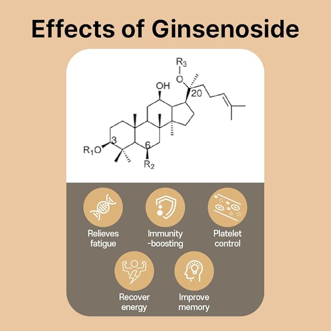 Korean Ginseng Extract Stick(10gx60 Stick)/ Made