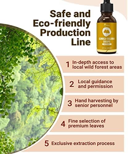 Ginkgo Biloba Liquid Extract, Organic Ginkgo 98% Absorption, 1 fl
