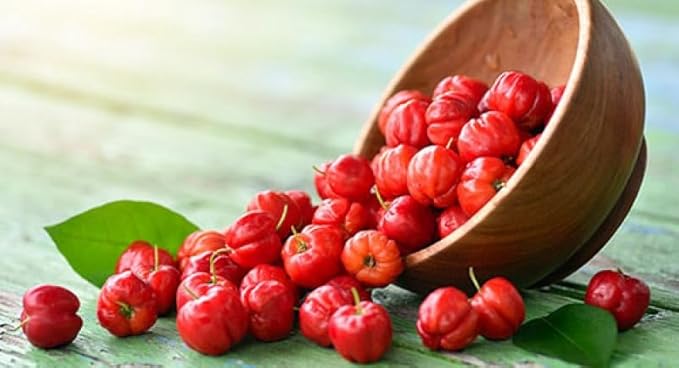 f&b superfoods Pure Organic Acerola Cherry (8oz), Organic