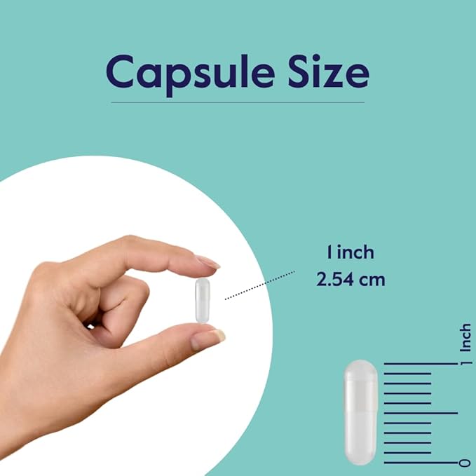 BESTVITE MSM 1000mg Made with OptiMSM (240 Capsules)