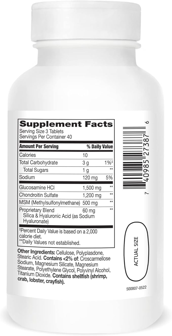 21st Century Glucosamine and Chondroitin Plus 120 Count