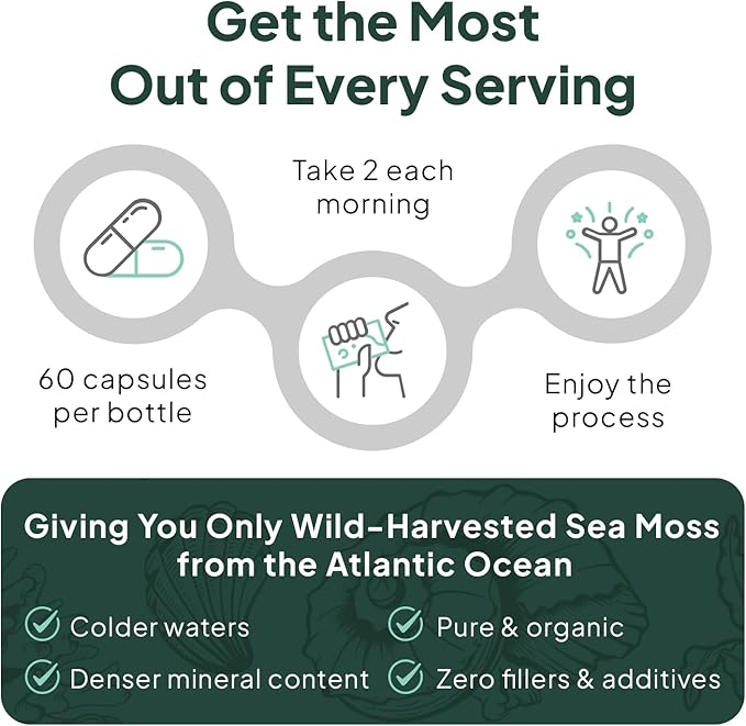 Wild Sea Moss Capsules - 100% Organic Irish Sea Moss with Organic Chlorella, Bladderwrack and Vitamin D for Energy, Lung Health and Thyroid Support for Women and Men - 6 Bottles