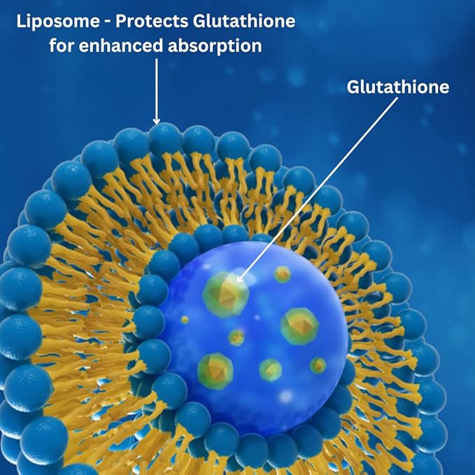 Liposomal Glutathione Supplement Antioxidant Supplement w/Gluta-IV™, 60Total Liposomal