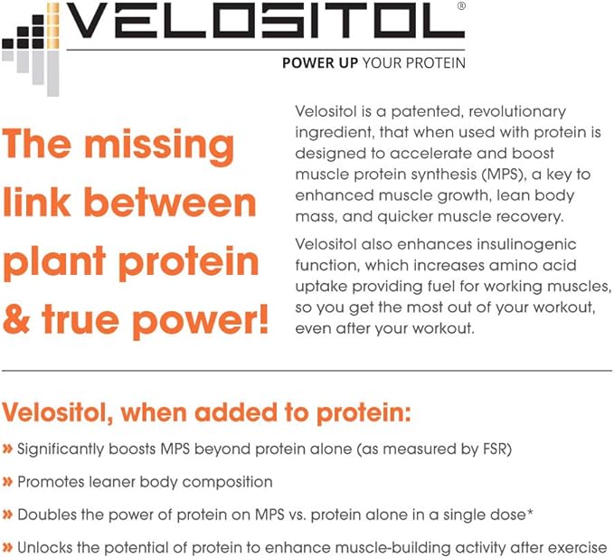 Genius Vegan Protein Powder, Chocolate