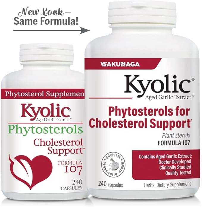 Kyolic Aged Garlic Extract Formula 107, 240 Capsules