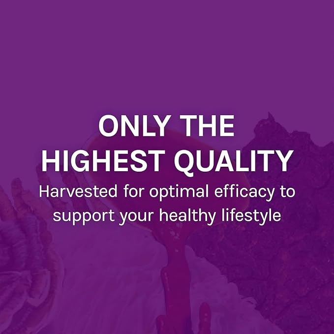 Host Defense MyCommunity Extract - 17 Species Blend Mushroom Supplement for Immune Support - Extract with Lion's Mane, Reishi, Chaga, Cordyceps, Turkey Tail & More - 1 fl oz (30 Servings)*