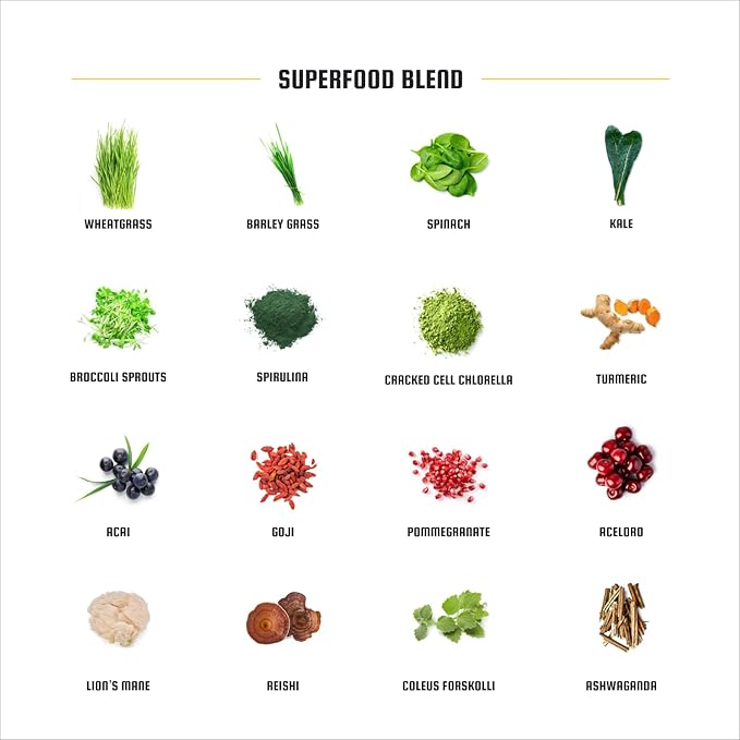 Superfoods - Chocolate Flavor Superfood Protein 16 Serving