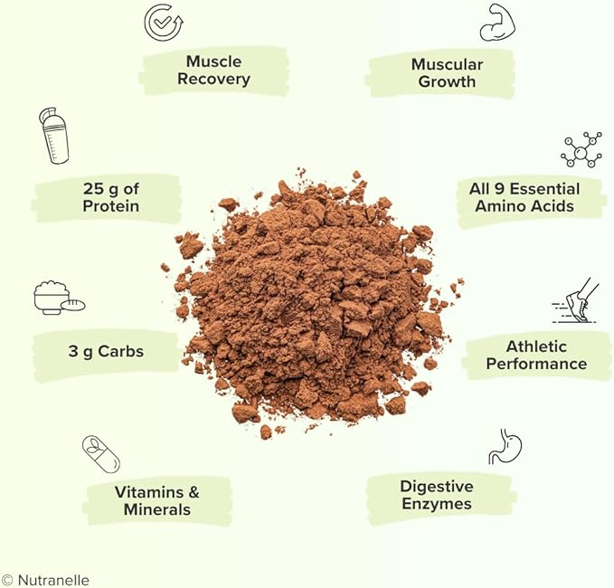 Plant Based Protein Shake Powder 30 Servings