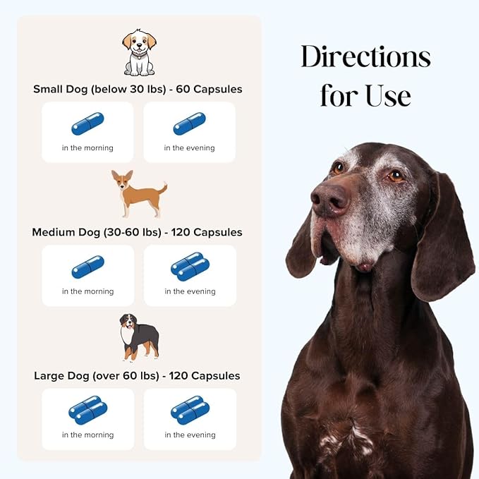 Dr. Fossum's CogniCaps Dog Cognitive Supplement – Multivitamin for Dogs Brain Health with SAM-e, Coenzyme Q10, Polygala, Curcumin – Senior Dog Supplements for Cognitive Support