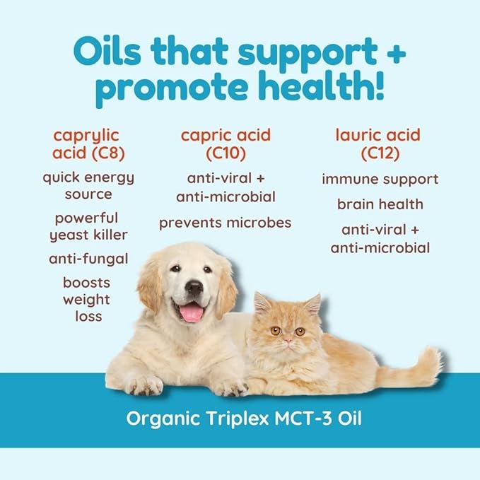 CocoTherapy Triplex MCT-3 Oil, Non-GMO, 100% Pure and Natural, 16 oz.