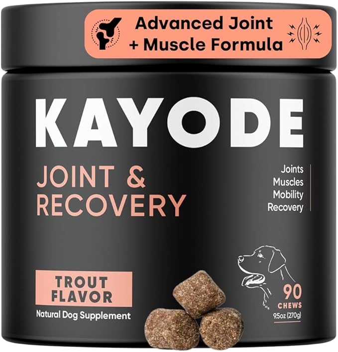 Joint & Recovery | 2-in-1 Joint & Muscle Chews. Joint Support Supplement for Dogs. Helps with Arthritis or Prevention from Hip & Joint Pain. for All Life Stages. Tasty Trout Flavor.