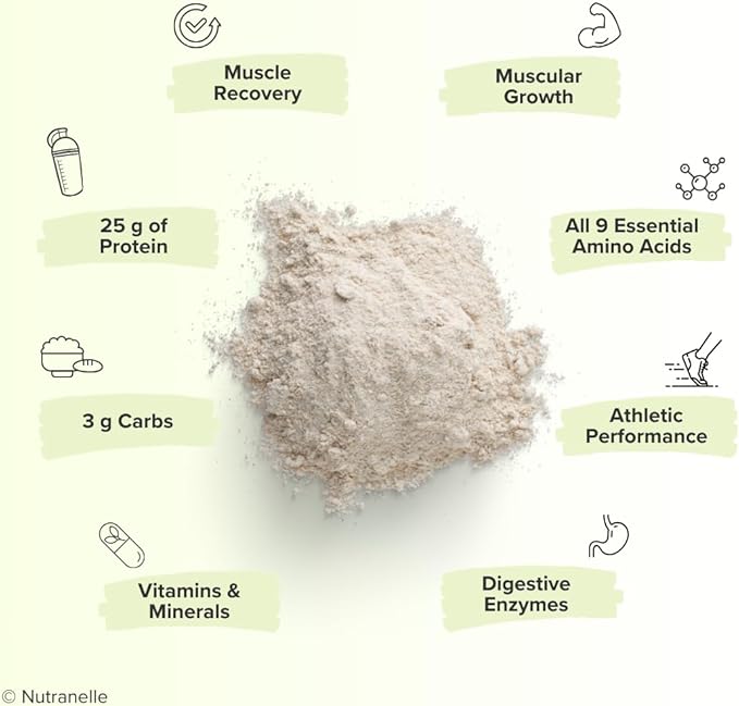 Plant Based Protein Shake Powder 30 Servings