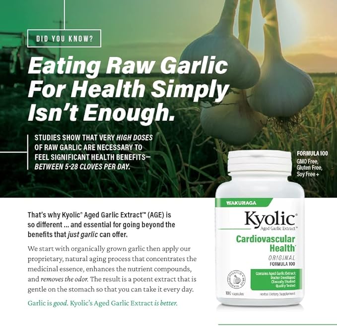 Kyolic Aged Garlic Extract Formula 300 120 Capsules