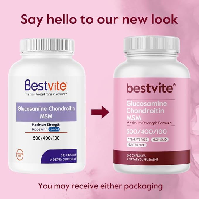 BESTVITE Glucosamine Chondroitin MSM 500/400/100 per (480 Capsules) (240 x 2) with