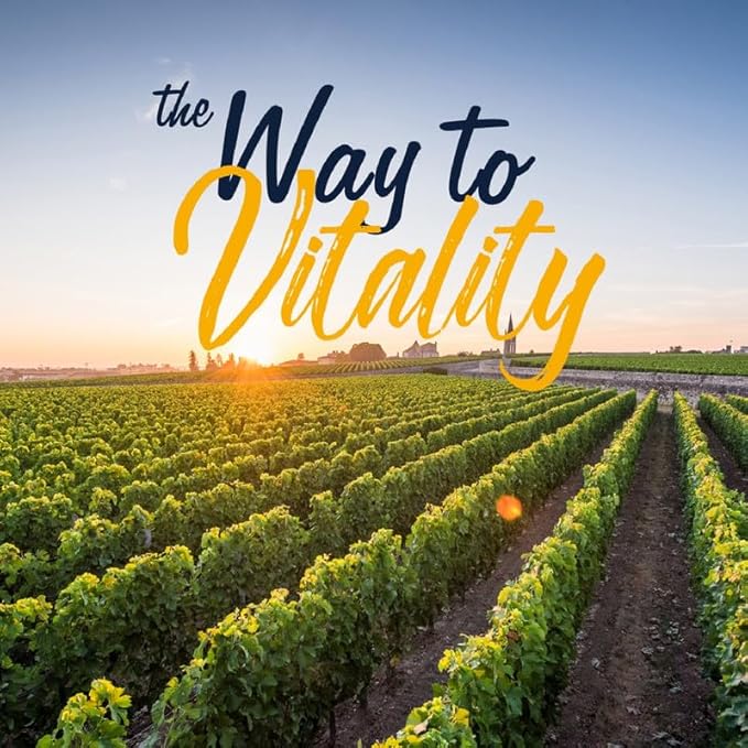 VITALITOWN Probiotics + Prebiotics 60 Billion 19 Strains 60 Delayed