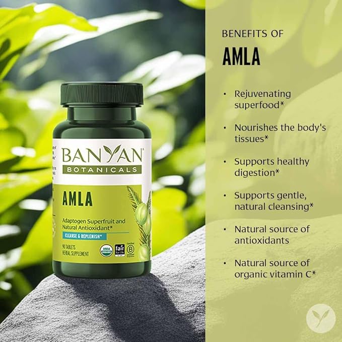 Banyan Botanicals Amla (Amalaki) Tablets – 90 Tablets