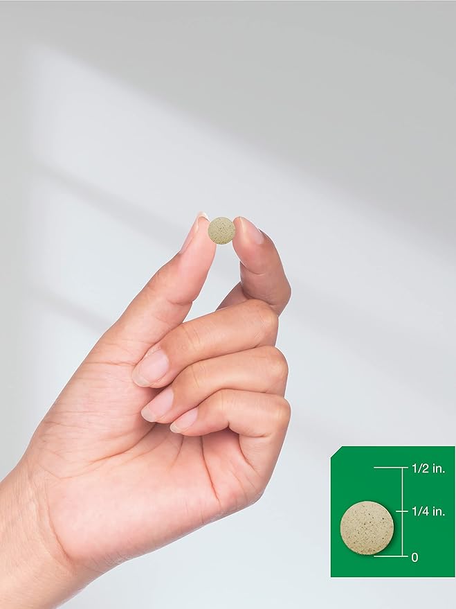 Horbäach Ginkgo Biloba 120mg 240 Tablets