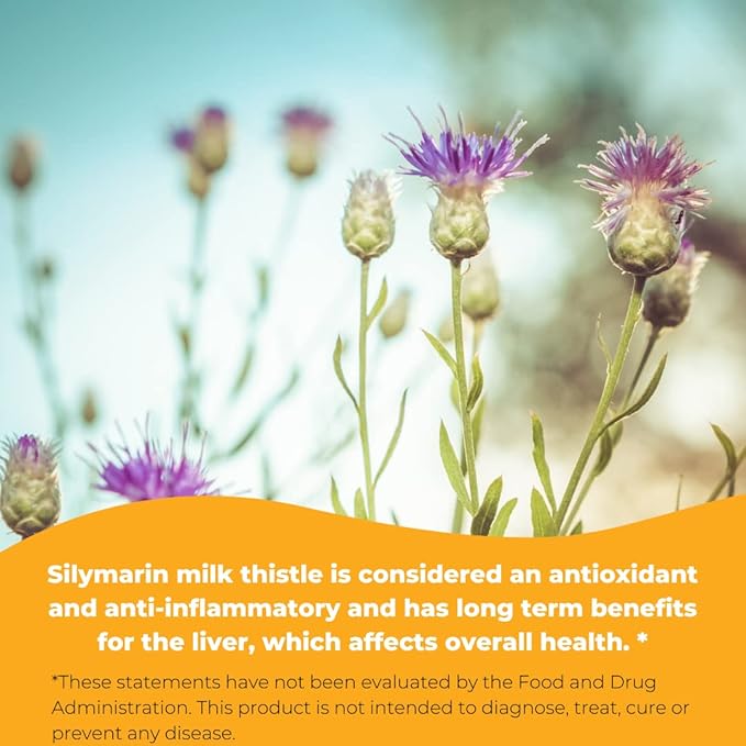 Wonder Labs Silymarin Milk Thistle, Supports 250 Softgels