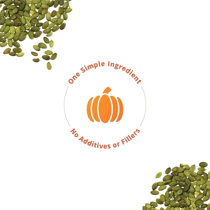 Sprout Living Simple Pumpkin Seed Protein 20 Grams (1 Pound)