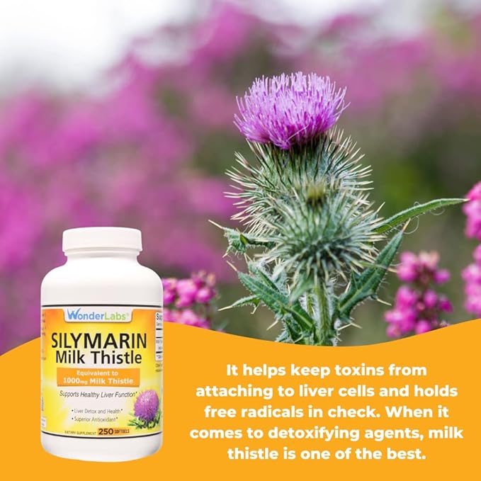 Wonder Labs Silymarin Milk Thistle, Supports 250 Softgels