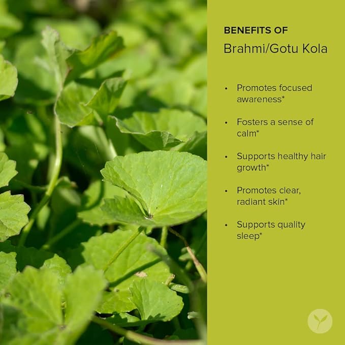 Banyan Botanicals Brahmi/Gotu Kola Powder –