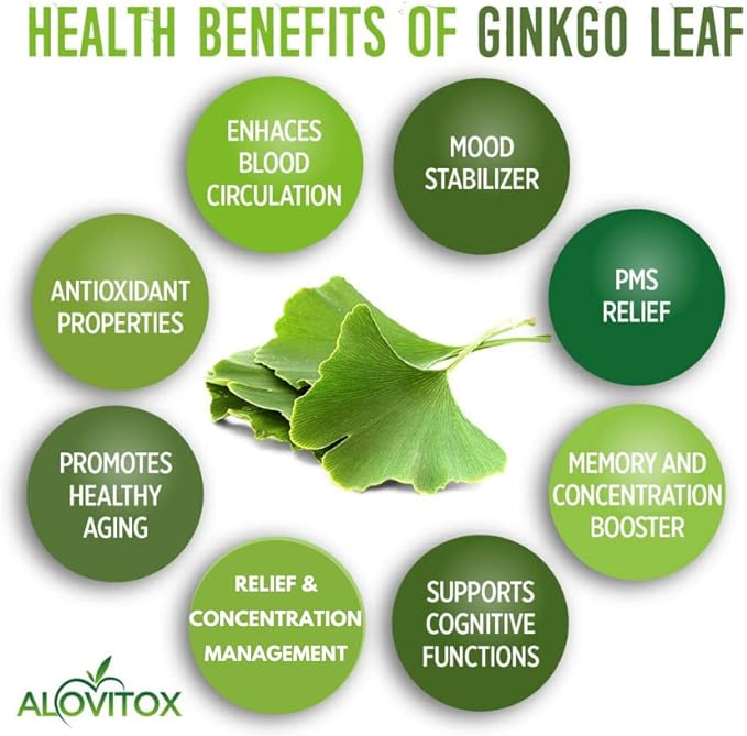 Ginkgo Biloba Leaf Powder 8oz 100% Natural