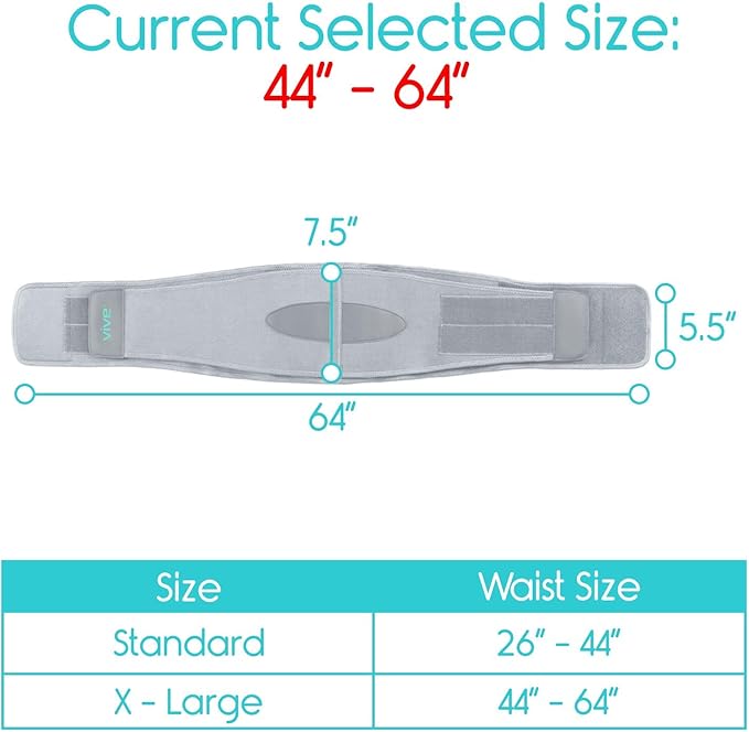 Vive Lower Back Support Brace