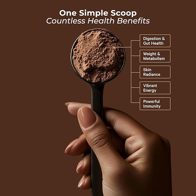 Meal Replacement Shake - Nutritious Plant Based Organic Protein Powder (Chocolate, 24 Servings) - Meal Replacement & Snack for Breakfast - Keto, Vegan, Low Carb, Soy-Free, Gluten-Free