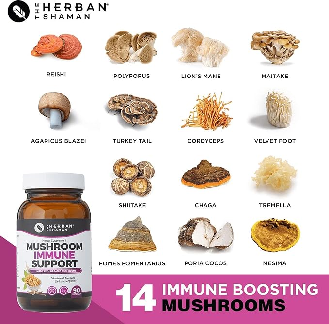 Mushroom Supplement Immune Support (90 Capsules)