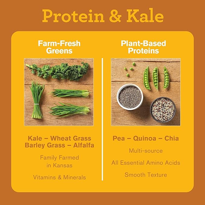 Amazing Grass | Protein & Kale 1 Cup 20g Protein 615g