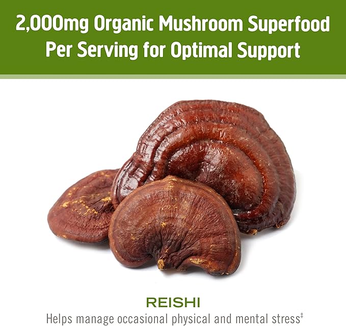 Om Mushroom Superfood Reishi Organic Mushroom Powder, 7.05 Ounce Pouch, 100 Servings, Adaptogen, Stress & Immune Support, Superfood Mushroom Supplement