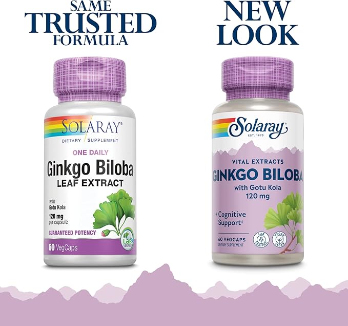 SOLARAY One Daily Ginkgo Biloba Leaf Extract (60 VegCaps) (60 VegCaps)