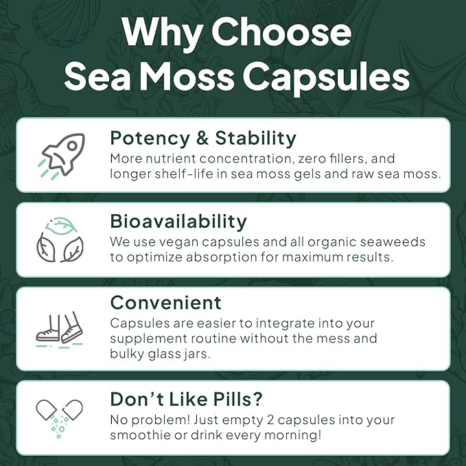 Wild Sea Moss Capsules - 100% Organic Irish Sea Moss with Organic Chlorella, Bladderwrack and Vitamin D for Energy, Lung Health and Thyroid Support for Women and Men - 6 Bottles