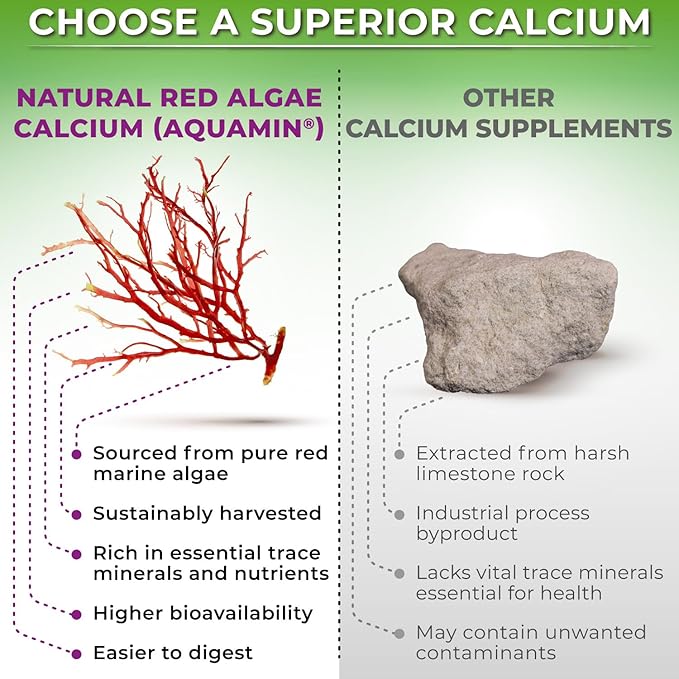 Plant-Based Calcium 500mg (Aquamin) – Vegan Calcium Magnesium Zinc D3 with Vitamin K2 & Organic Turmeric – Enhanced Bone and Muscle Health & Strength, Immune Support for Women & Men - 90 Count