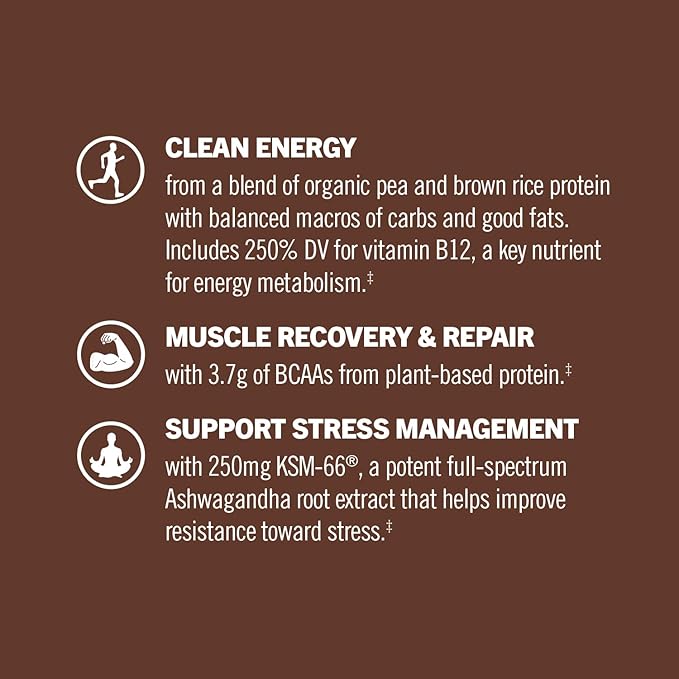 OM MUSHROOM SUPERFOOD Master Blend Plant-Based Protein Powder, 19.26 Ounce, 16 Servings, Creamy Chocolate Protein with 10 Mushroom Complex, Lions Mane, Adaptogens for Optimal Health and Recovery