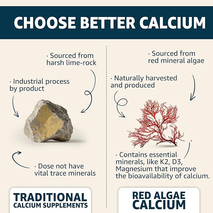 Calcium Gummies 600mg - Calcium Supplement for Women, Ocean Algae Calcium | Vitamin D3, K2, Magnesium | for Bone Strength, Muscle & Immnue | Sustainably Sourced Algae Calcium, 70+ Mineral, 1PACK