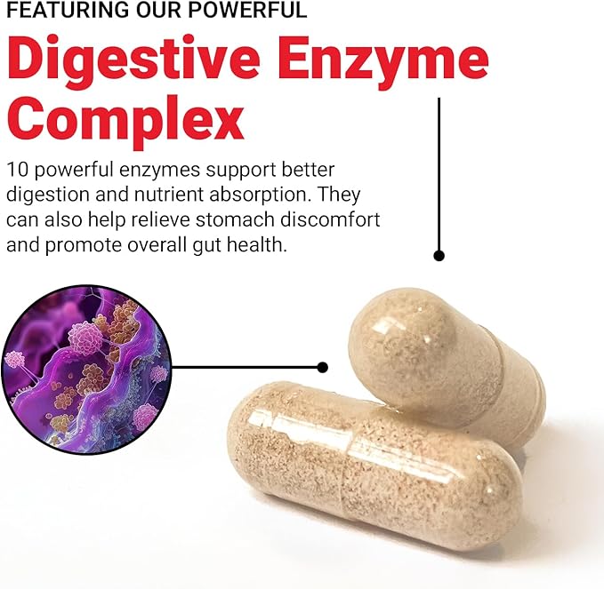 FORCE FACTOR Digestive Enzymes Complex to 10 Digestive 90 Capsules