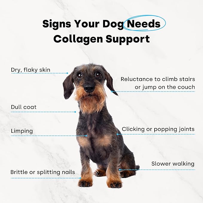 Collagen Puptides - Collagen for Dogs | Premium Dog Joint Support | Great for Senior & Adult Dogs. Premium Bovine, Marine Collagen, Omega 3s. Tasty Steak Collagen Chews for Dogs