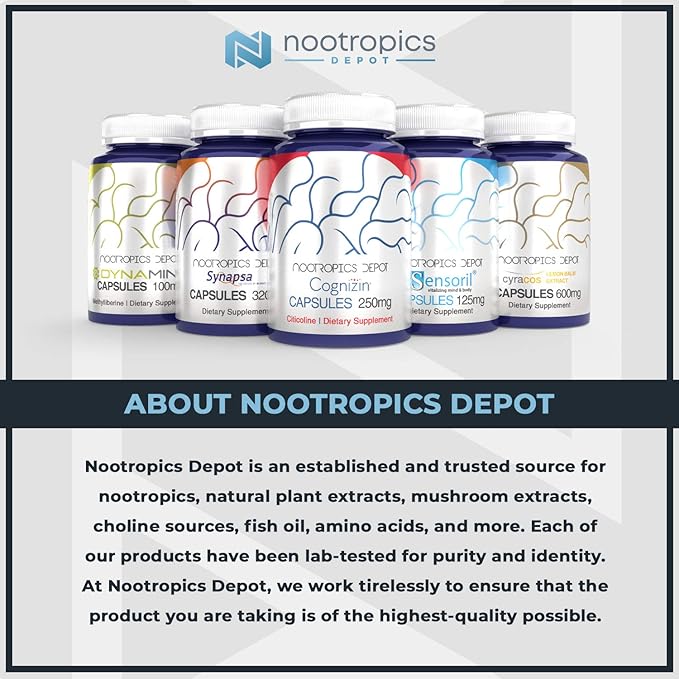 Nootropics Depot GS15-4 Panax Ginseng Extract Capsules 200mg | 30 Count