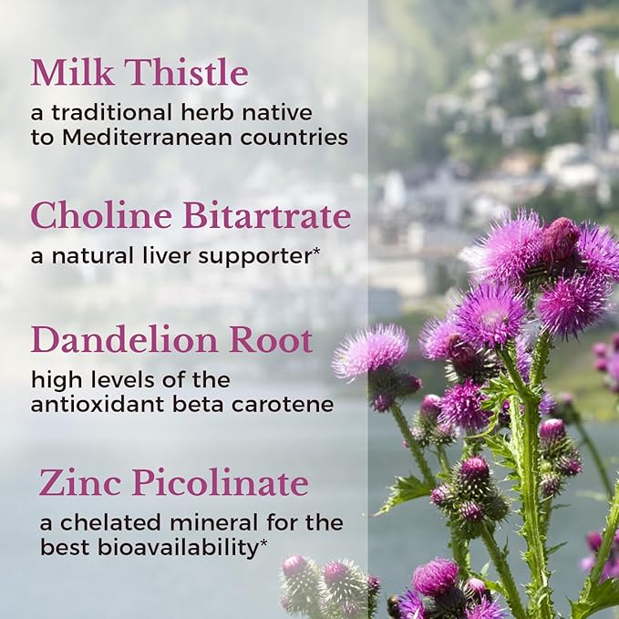 VITALITOWN Milk Thistle Complex 30X Extract 80% Silymarin 600 mg 60 Veggie