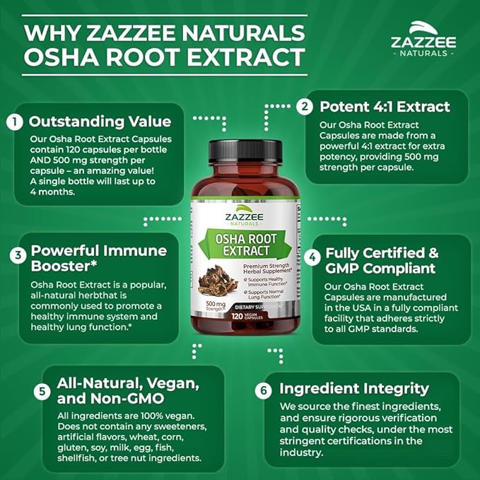 Zazzee OSHA Root 4:1 Extract, 500 120 Vegan 4 Month 4X Extract, 100% Vegetarian,