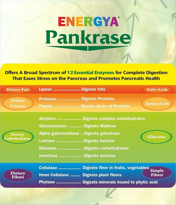PANKRASE | Physician Trusted 12 Digestive