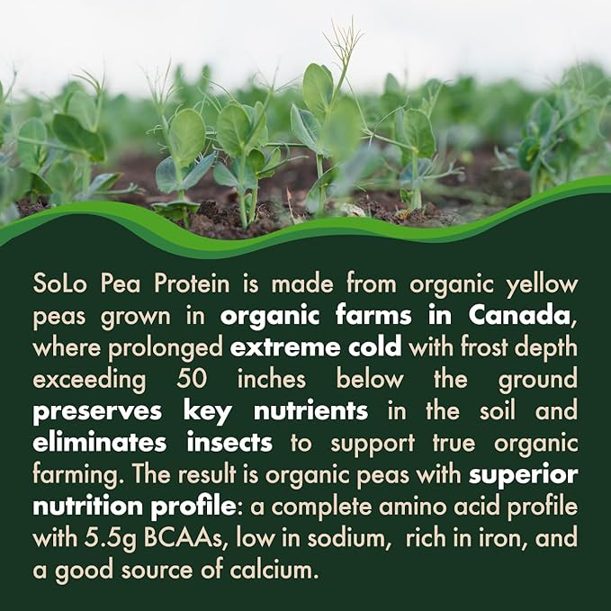 Solo Organic Pea Protein Powder, Low 100% Vegan, (2.7 lbs)