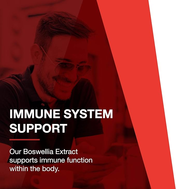 PROTOCOL FOR LIFE BALANCE Boswellia Extract 500 mg - Boswellia Supplement - with MCT Oil Base - Balanced Immune Response - Dairy Free & Soy Free - 90 Softgels